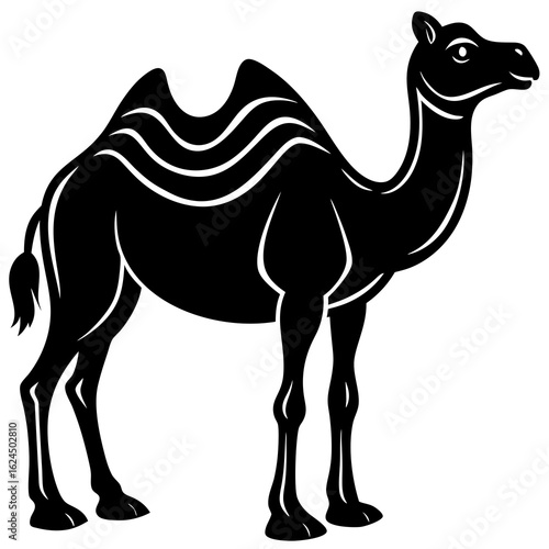 camel on the beach