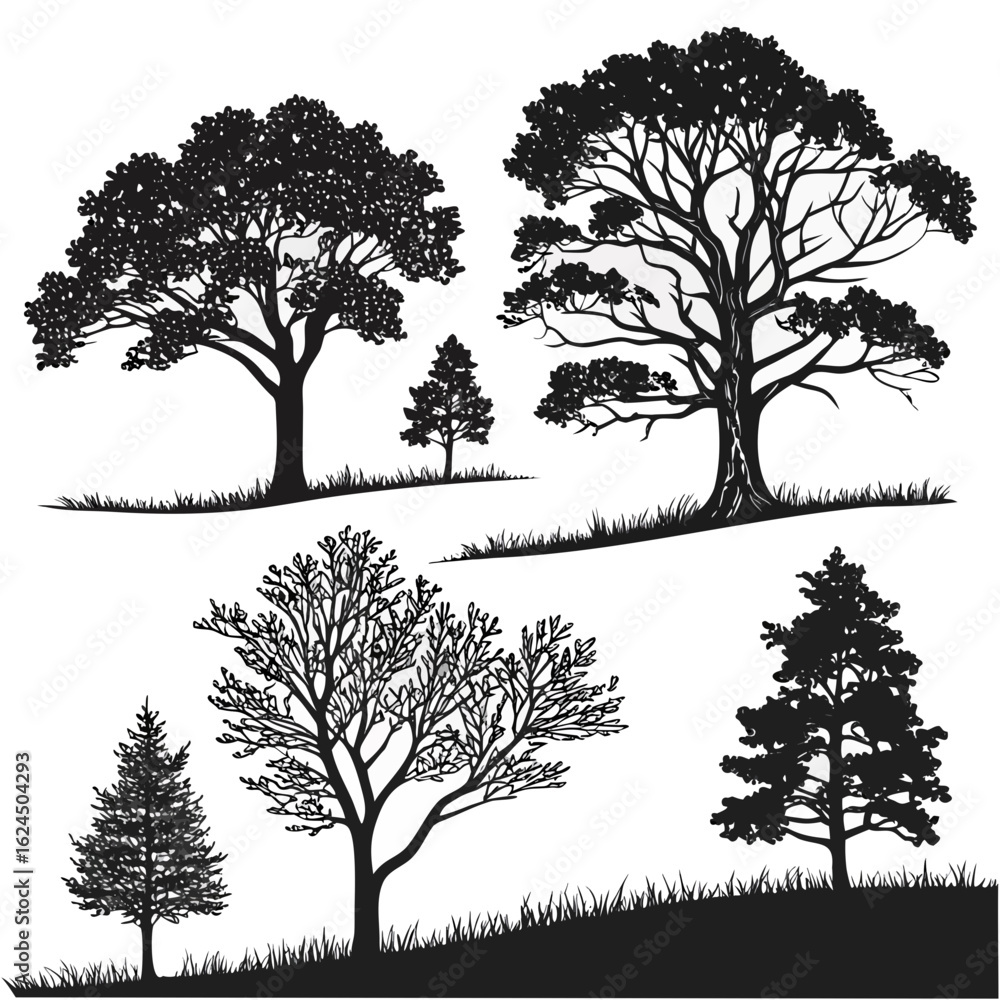Fototapeta premium set of trees silhouettes