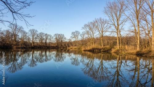 Peaceful early spring setting showcasing a quiet lake and barren trees mirrored perfectly in the water