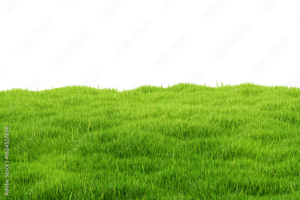 Obraz premium Realistic green grass field with lush texture on white background, natural landscape concept representation in 3D Rendering style. 3D Rendering