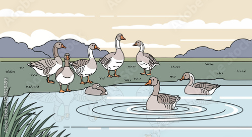 Domestic Geese by Pond in Peaceful Nature Landscape Vector Illustration
