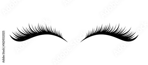 Beautiful long eyelashes vector isolated on white background.