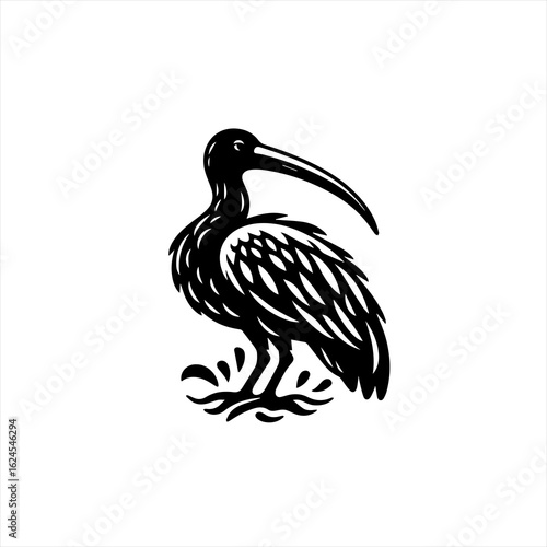 Ibis bird illustration