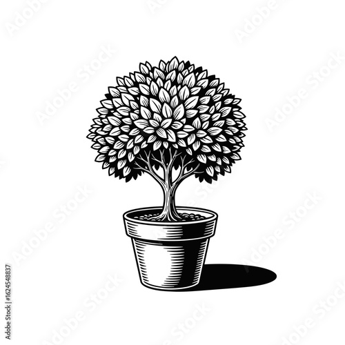 Hand-drawn topiary bush in a flowerpot, a vintage engraving style illustration symbolizing growth and nature. Isolated on white.