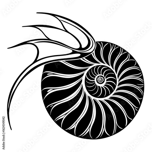 vector illustration of a snail shell