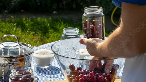 Hand crafting crimson grapes into gleaming jars, celebrating Lammas harvest with homemade cordial alchemy under golden afternoon sun