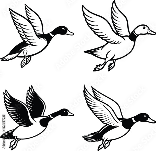 Duck drawing. It is a simple black and white outline image of a common duck standing, ready for coloring. Vector sketch line art draw.
