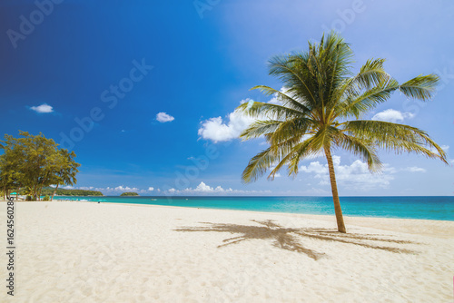 Fototapeta Naklejka Na Ścianę i Meble -  Tropical paradise beach with white sand and coco palms travel tourism wide angle background concept.