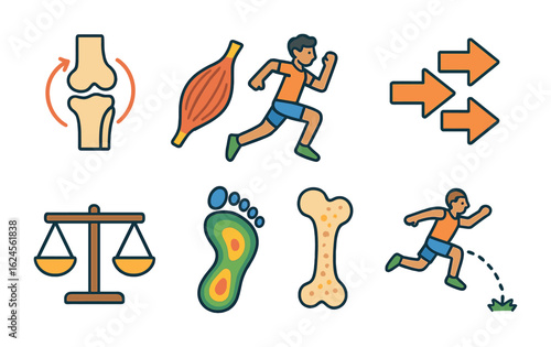 Biomechanics Sports Illustration. Flat vector mini-illustrations Biomechanics in sports and human performance