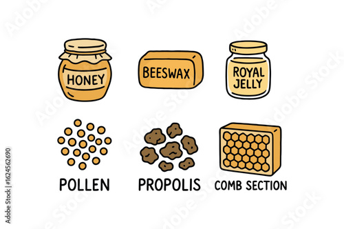 hand drawn cute doodle style line isolated on white background beekeeper (products): honey jar beeswax royal jelly pollen propolis comb section
