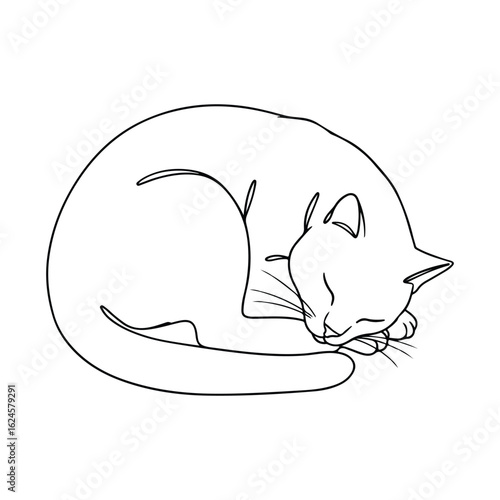 A minimalist black and white sketch depicts a domestic cat peacefully sleeping, curled into a tight ball with its head resting on its paws.