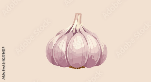 Garlic bulb still-life against light pink background, use for blog art, clip art