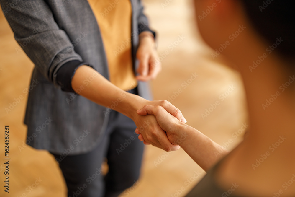Fototapeta premium Midsection of female lawyer shaking hands with client in office while beginning a successful collaboration