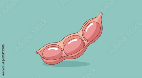Cartoon edamame pod lying on a green background, for advertising healthy eating