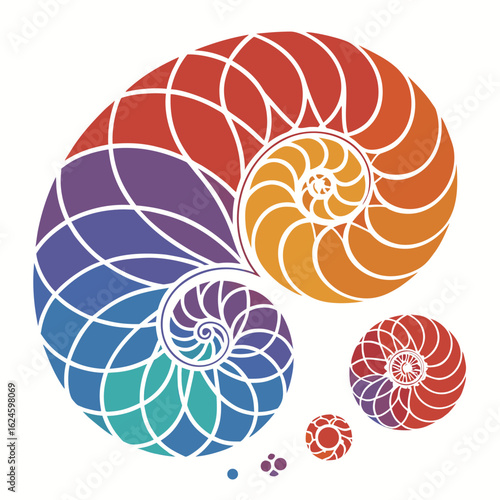 spiral nautilus shell