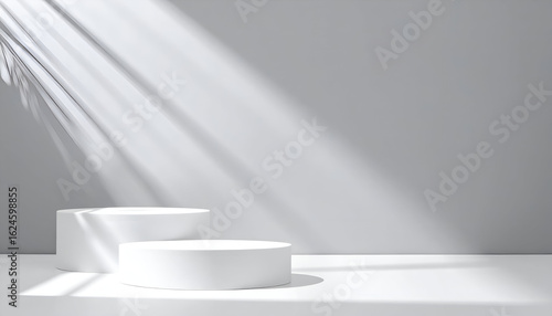 Minimalist White Podiums Bathed in Sunlight with Tropical Leaf Shadow
