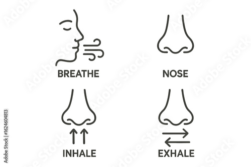 Breathing process illustration: inhale and exhale through the nose