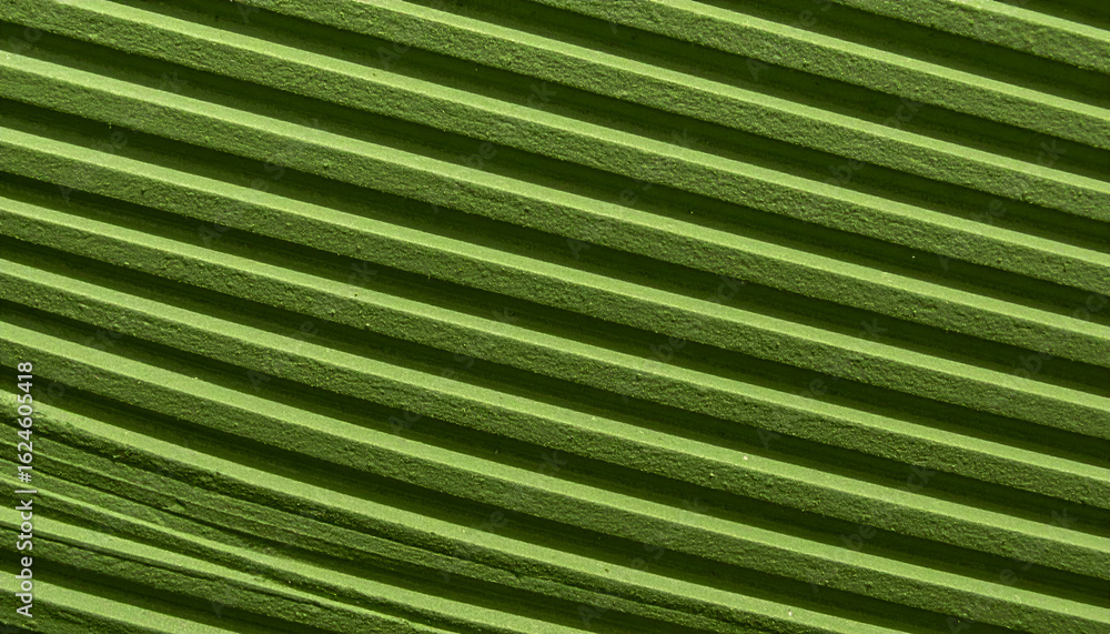 Obraz premium Sunlit Olive Green Ridges Creating a Textured Diagonal Pattern