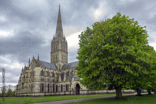 Salisbury Cathedral with Spire and Tree