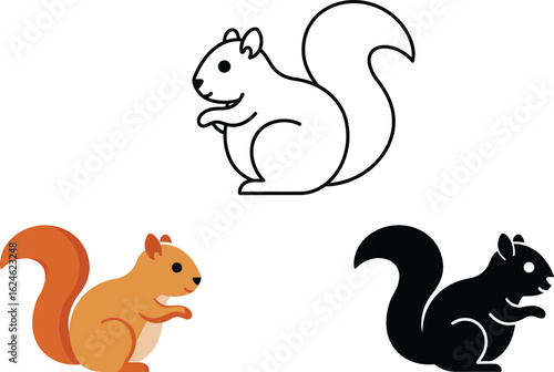 Three stylized illustrations of a squirrel in outline color and silhouette variations for design