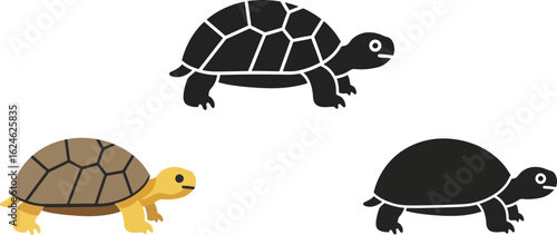 Three stylized illustrations of tortoises in different styles on a white background