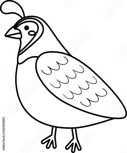 Wallpaper Mural Vector illustration of a Quail, Line Drawing, icon Torontodigital.ca