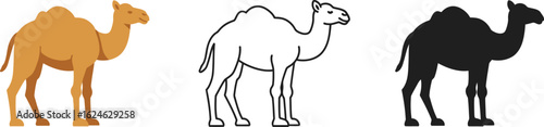 Three distinct camel illustrations a colored silhouette a line drawing and a solid black shape on white background