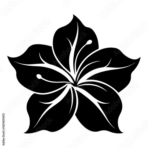  bauhinia  silhouette vector illustration  on white-background