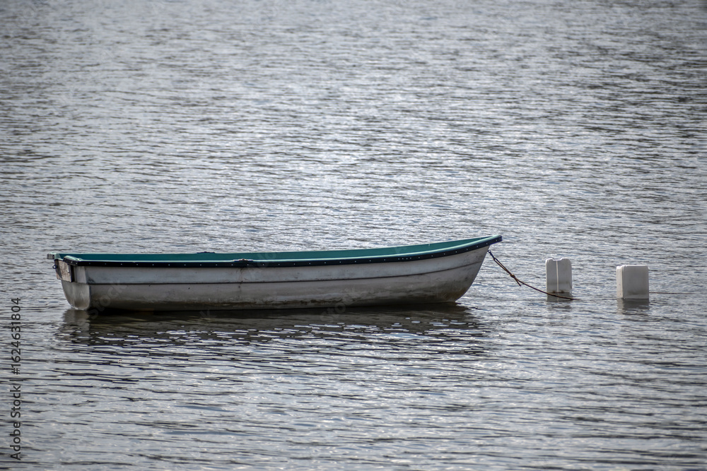 Naklejka premium An empty rowing boat at anchor on a summer day