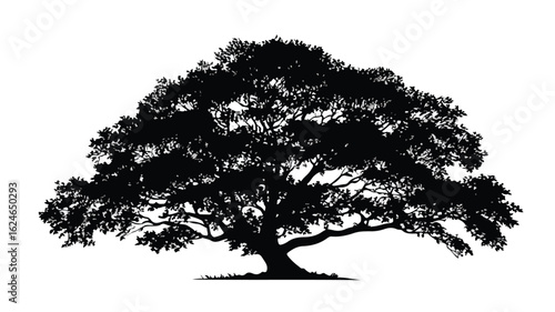 Beech Tree Icon Silhouette Vector Illustration Outlined