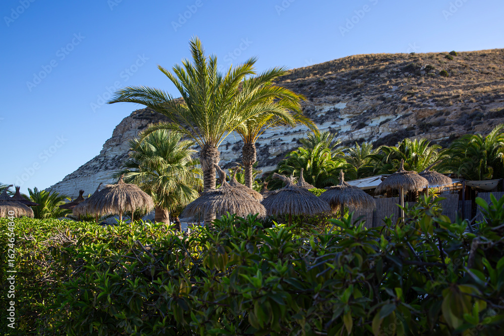 Fototapeta premium Vistas de palmeras en un pueblo de costa