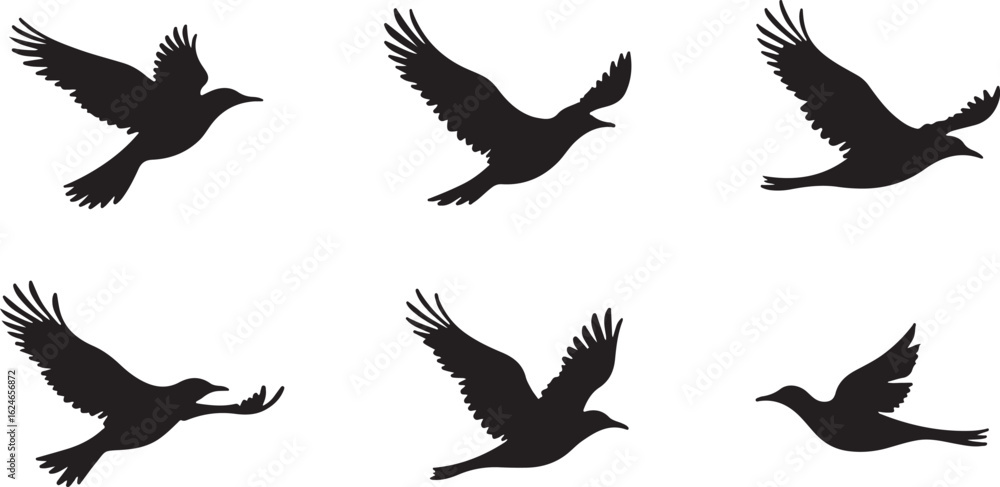 Obraz premium Flying Bird Silhouette Bundle