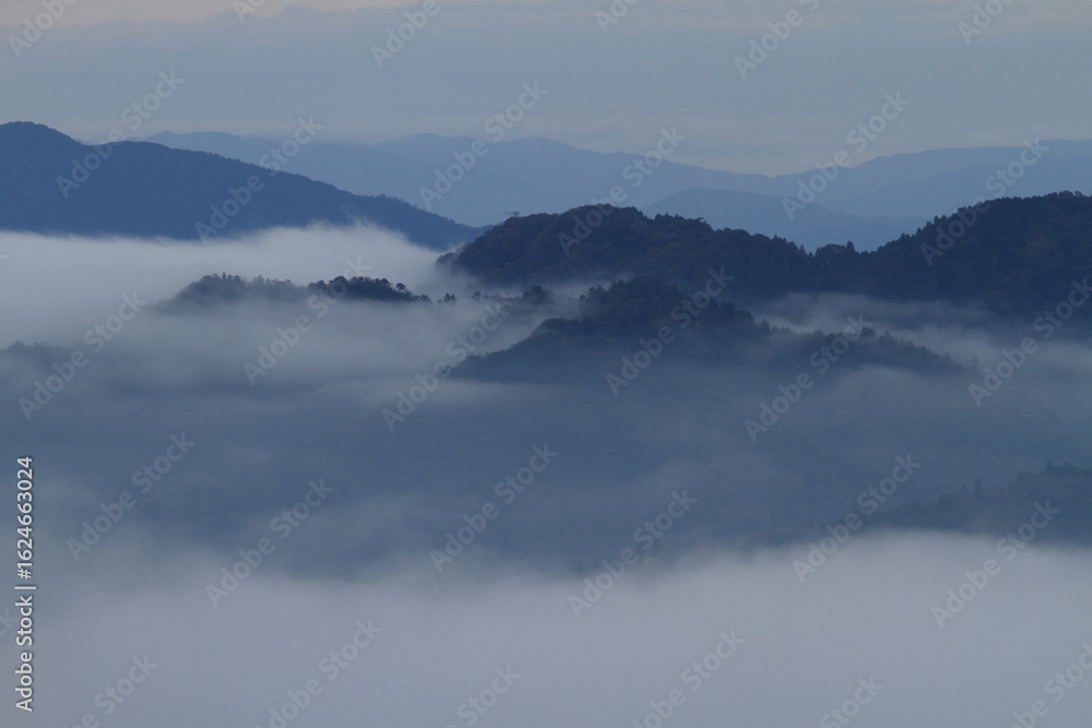 Fototapeta premium 雲海に浮かぶ山