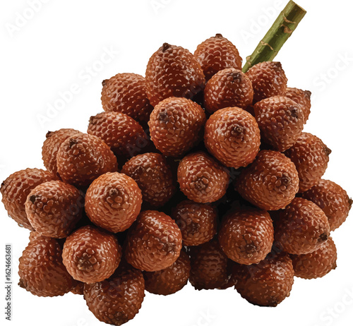 Close-up view of a cluster of salak fruits, also known as snake fruit, showcasing their distinctive scaly brown skin and texture in detail.