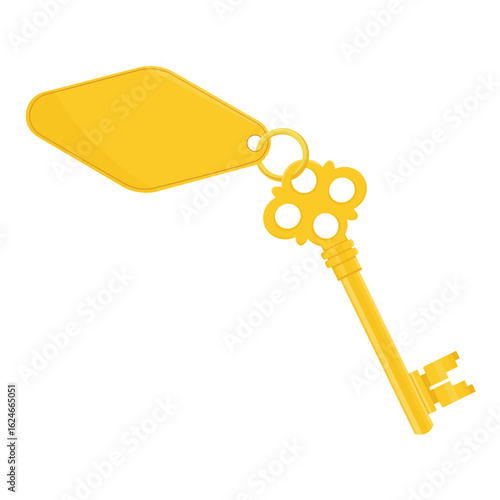 Hotel room or apartment door vintage skeleton key with keyring and blank tag