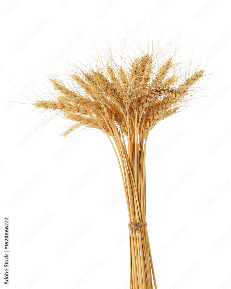 Fototapeta premium Bunch of dried wheat spikes isolated on white