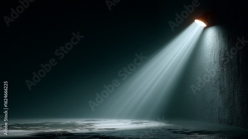 A single spotlight illuminates a textured wall and wet floor in a dark atmospheric space