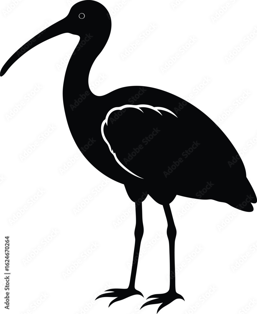 Fototapeta premium ibis on white background.eps