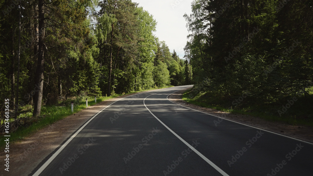 Naklejka premium driving plate through forest in sunny summer day