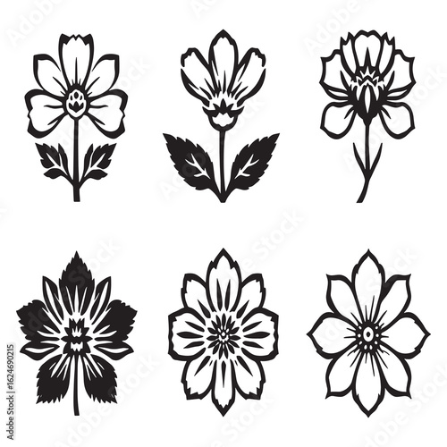 rapeseed plant outline drawing with flowers and leaves vector.eps