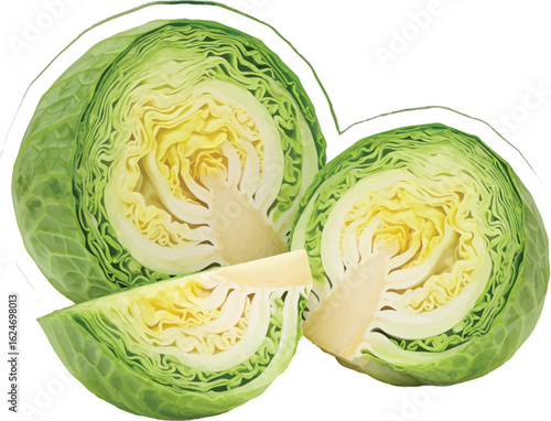 Fresh green cabbage cut in half and a slice with detailed texture and vibrant colors creating a natural and healthy food presentation for culinary projects