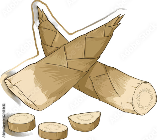 Detailed vector illustration showcasing fresh bamboo shoots and sliced pieces, highlighting their natural texture and organic appearance on a white background