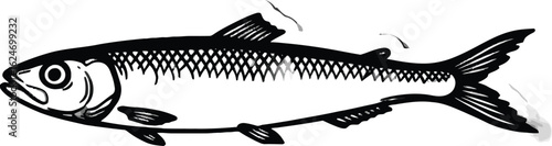Detailed illustration of a fish showcasing intricate scale patterns, fins, and expressive eye, rendered in a graphic black and white style with artistic flair and depth.