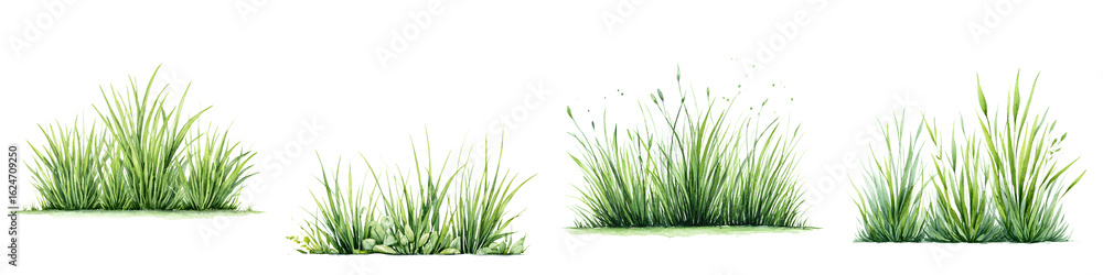 Fototapeta premium Green Grass Clumps: Watercolor Illustration, Nature Element, Lawn