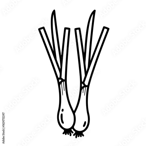 Fresh green onions with long tops and bulbs on white background  