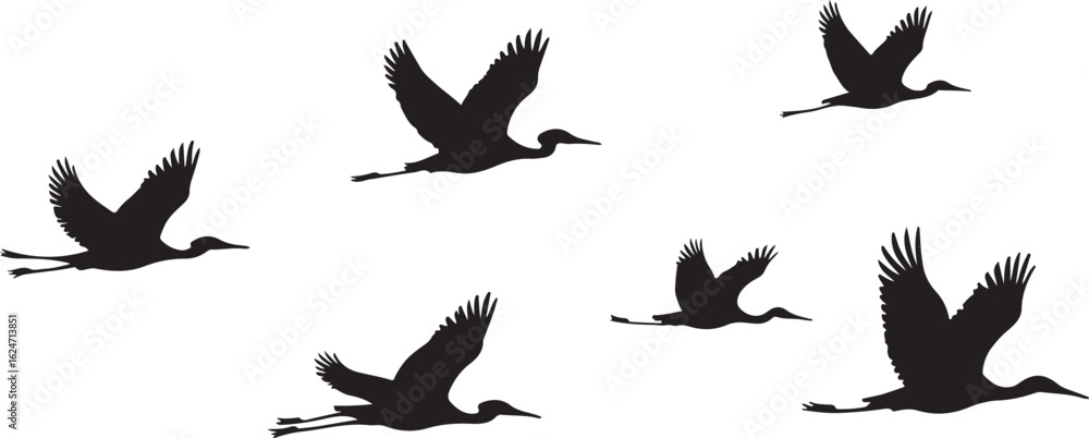 Obraz premium Majestic Birds in Flight Silhouette Graphic Pack