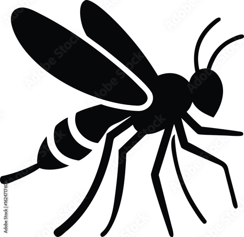 Vector illustration of wasp  silhouette silhouette isolated