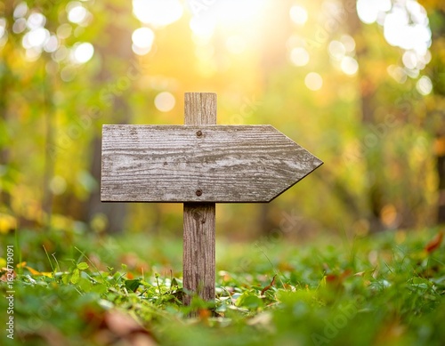 Rustic wooden arrow sign in autumnal forest