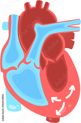Cardiomyopathy 
