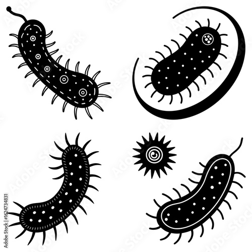 Illustration of several black and white microorganisms with spiky projections and internal details